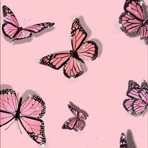 Meet your Posher, Eva